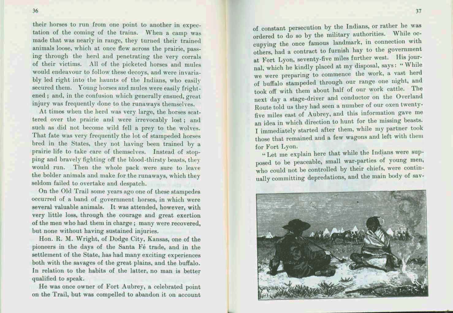 The Buffalo--1898. vist0028h